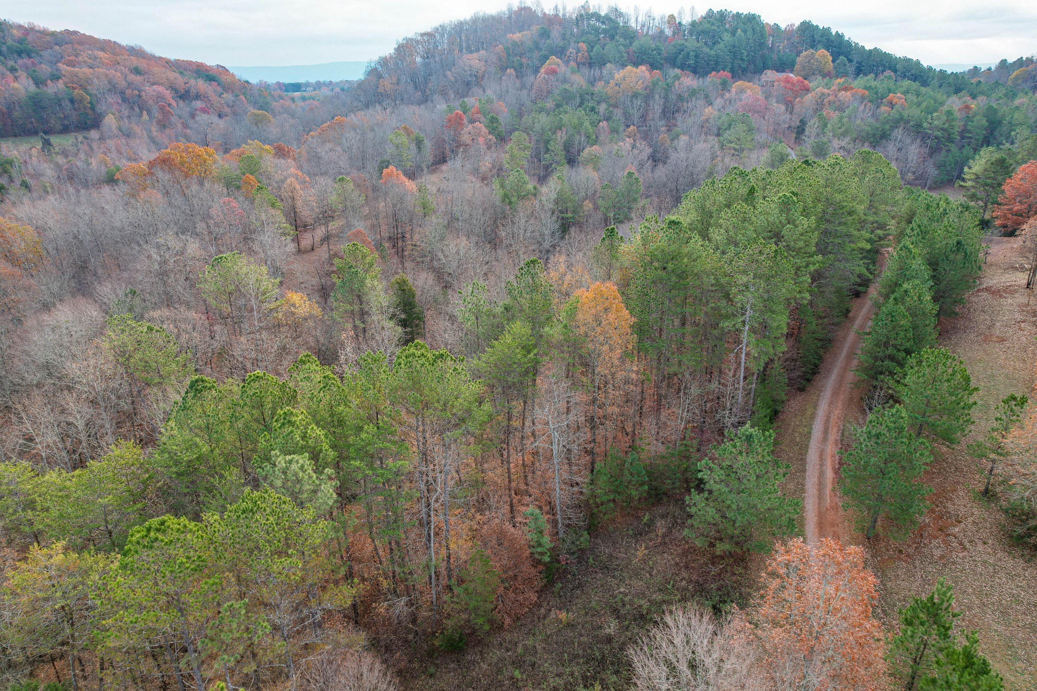 2324 County Road 758 Riceville, TN 37370 - Photo 39 of 43 Gallery Image 39