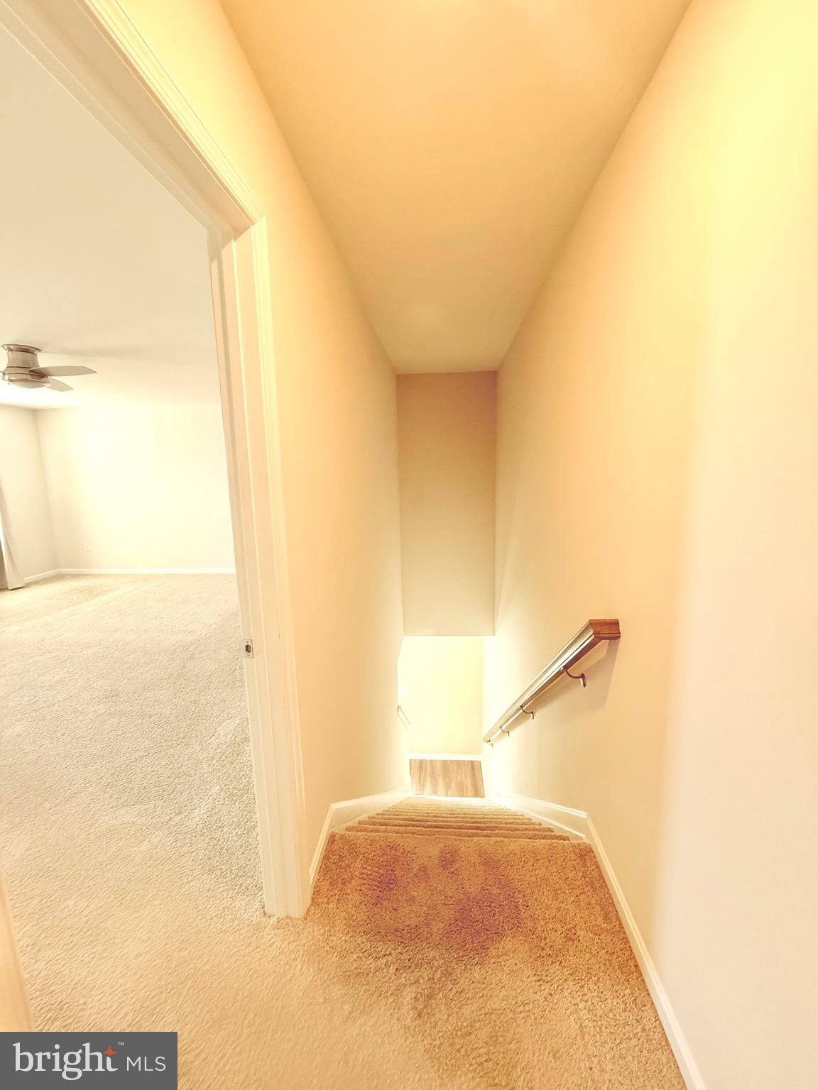 1245 Pimpernell Path Middletown, DE 19709 - Photo 23 of 54