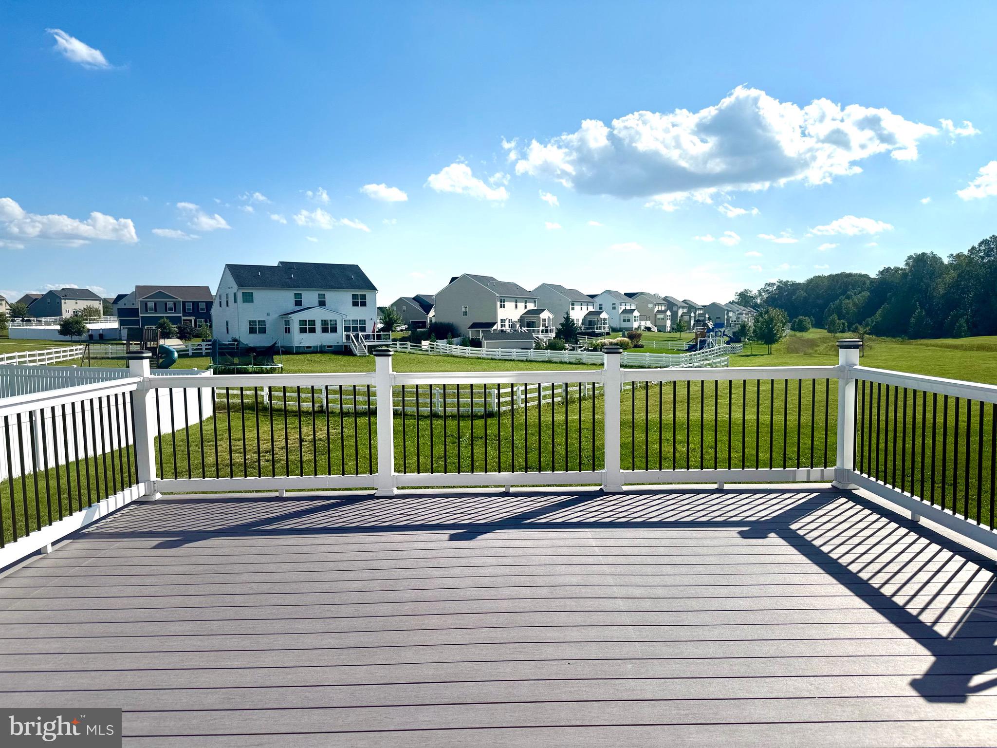 1245 Pimpernell Path Middletown, DE 19709 - Photo 3 of 54