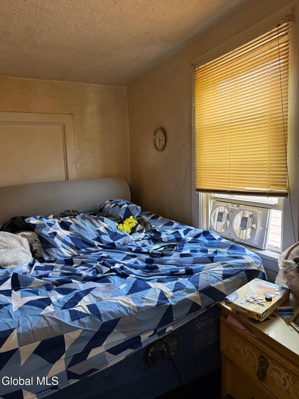 281 Sherman Street Albany, NY 12206 - Photo 10 of 13 IMG_4911