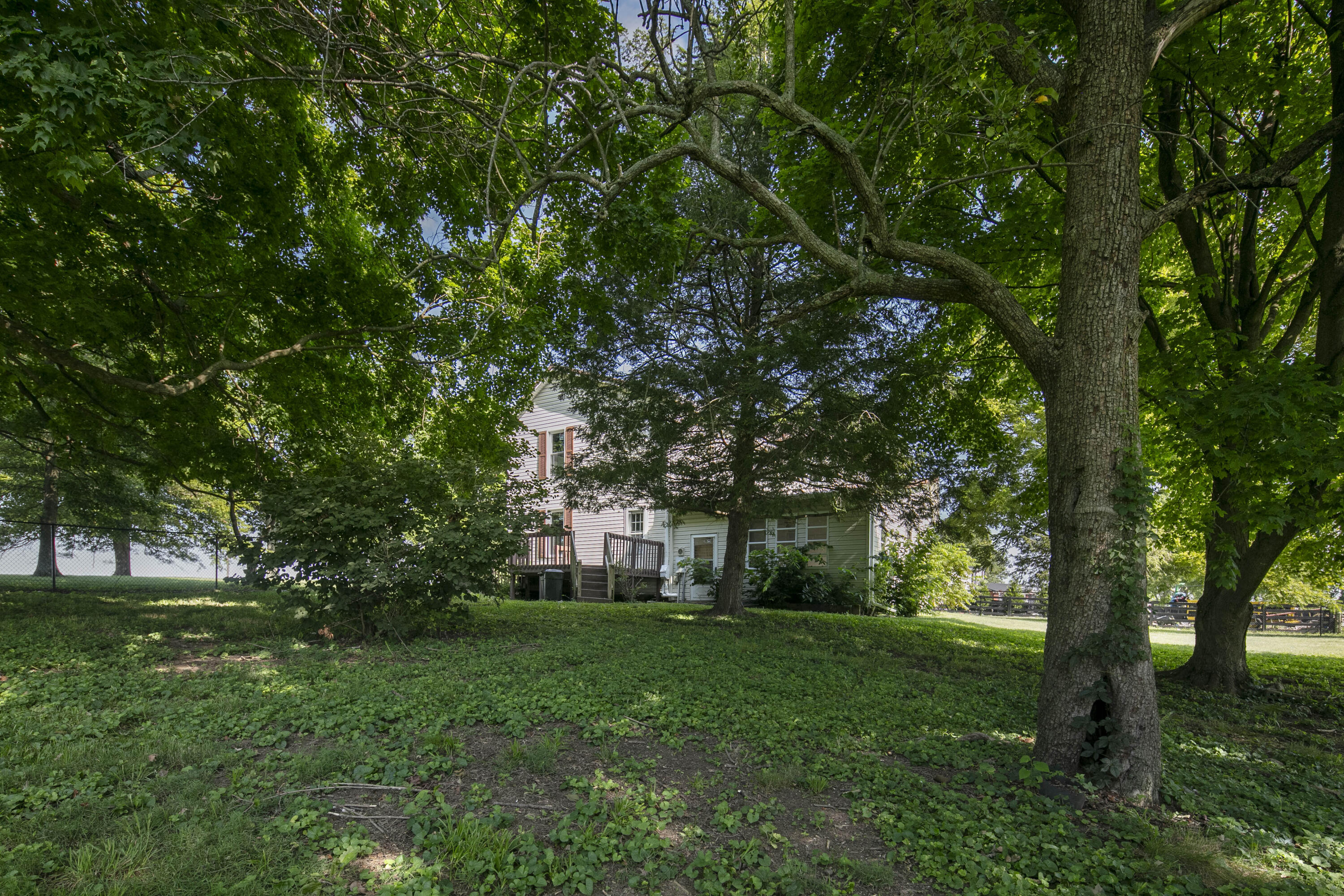 4603 Paris Road Winchester, KY 40391 - Photo 24 of 29 4603 Paris Rd (23)