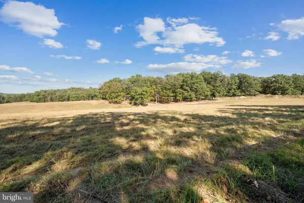 a view of yard with green space