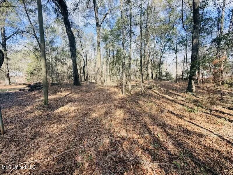 87 Russell Lane Moselle, MS 39459 - Photo 8 of 10 IMG_1752