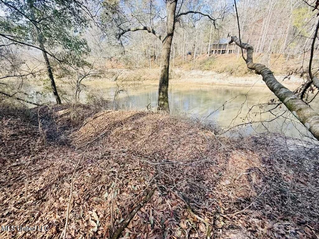 87 Russell Lane Moselle, MS 39459 - Photo 9 of 10 IMG_1753