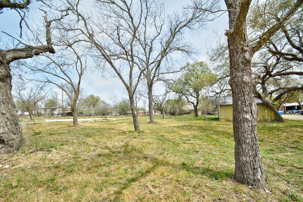 Lot 43 Wells Street Rocksprings, TX 78880 - Photo 1 of 10