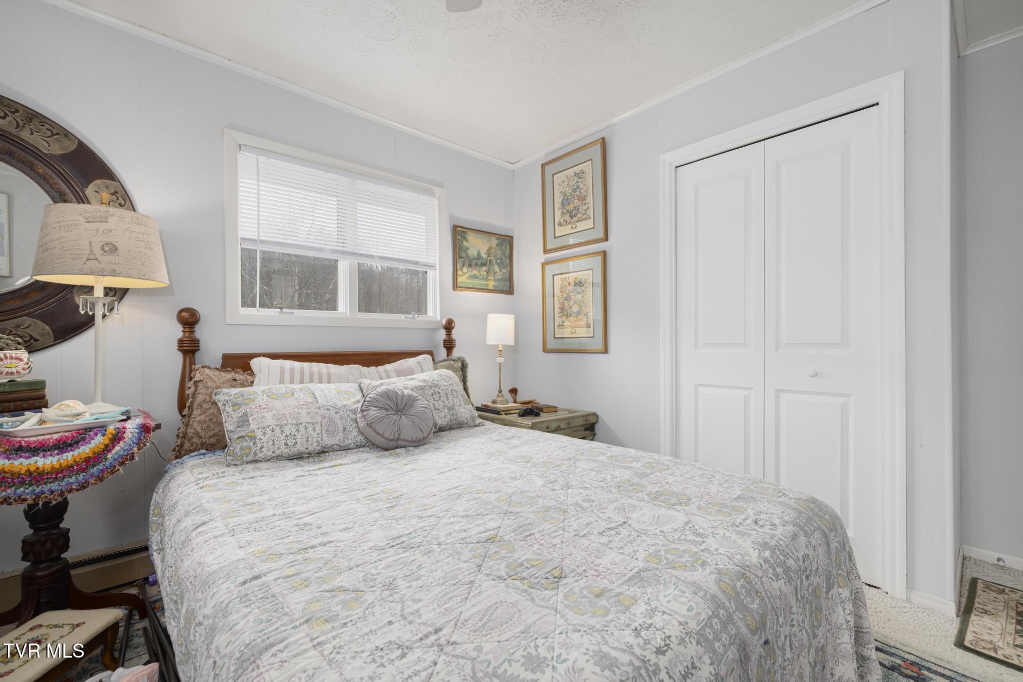 405 Beidleman Creek Road Bristol, TN 37620 - Photo 35 of 63 IMG_1966