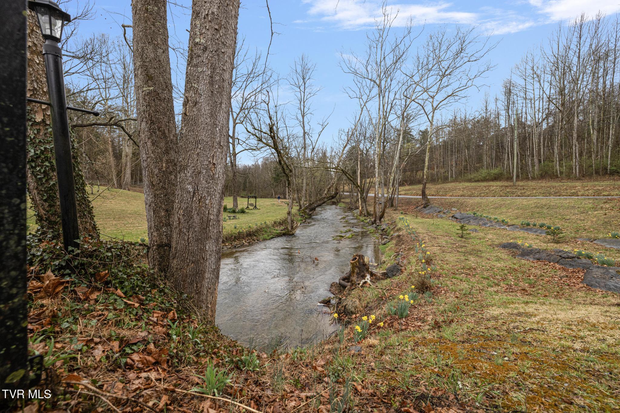 405 Beidleman Creek Road Bristol, TN 37620 - Photo 47 of 63 IMG_2013