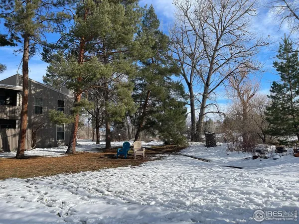 a view of a park with bench on the road