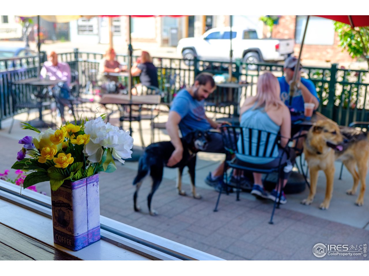 8060 Niwot Road, Unit 66 Niwot, CO 80503 - Photo 14 of 17