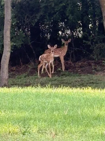 $429,900 | 144 Howard Newby Lane, Springtown, TX 76082