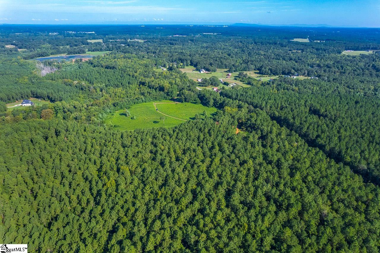 0 Berry Road Pelzer, SC 29669 - Photo 11 of 21