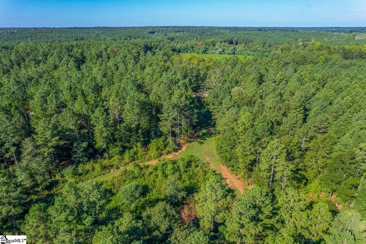 0 Berry Road Pelzer, SC 29669 - Photo 14 of 21