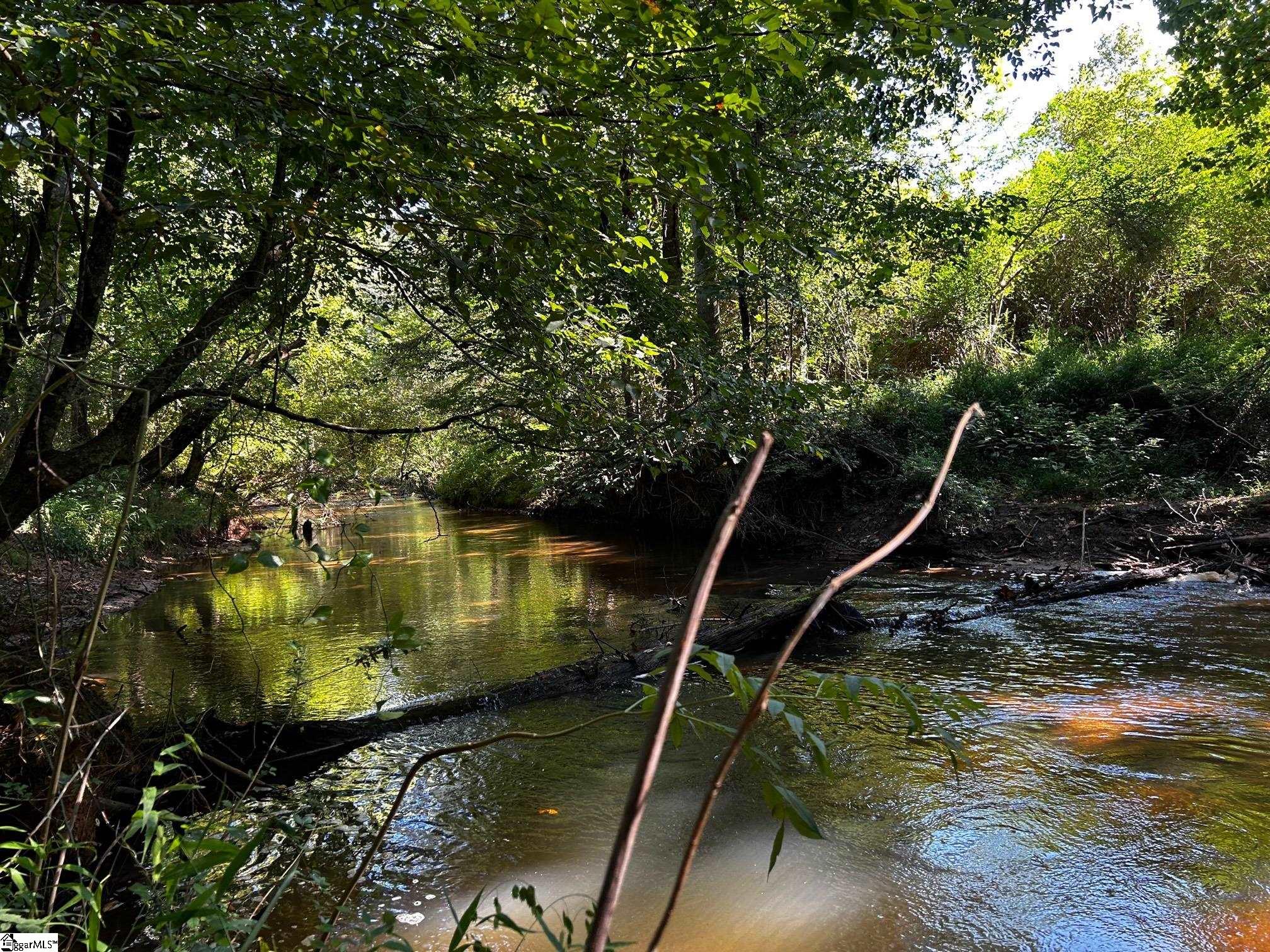 0 Berry Road Pelzer, SC 29669 - Photo 18 of 21