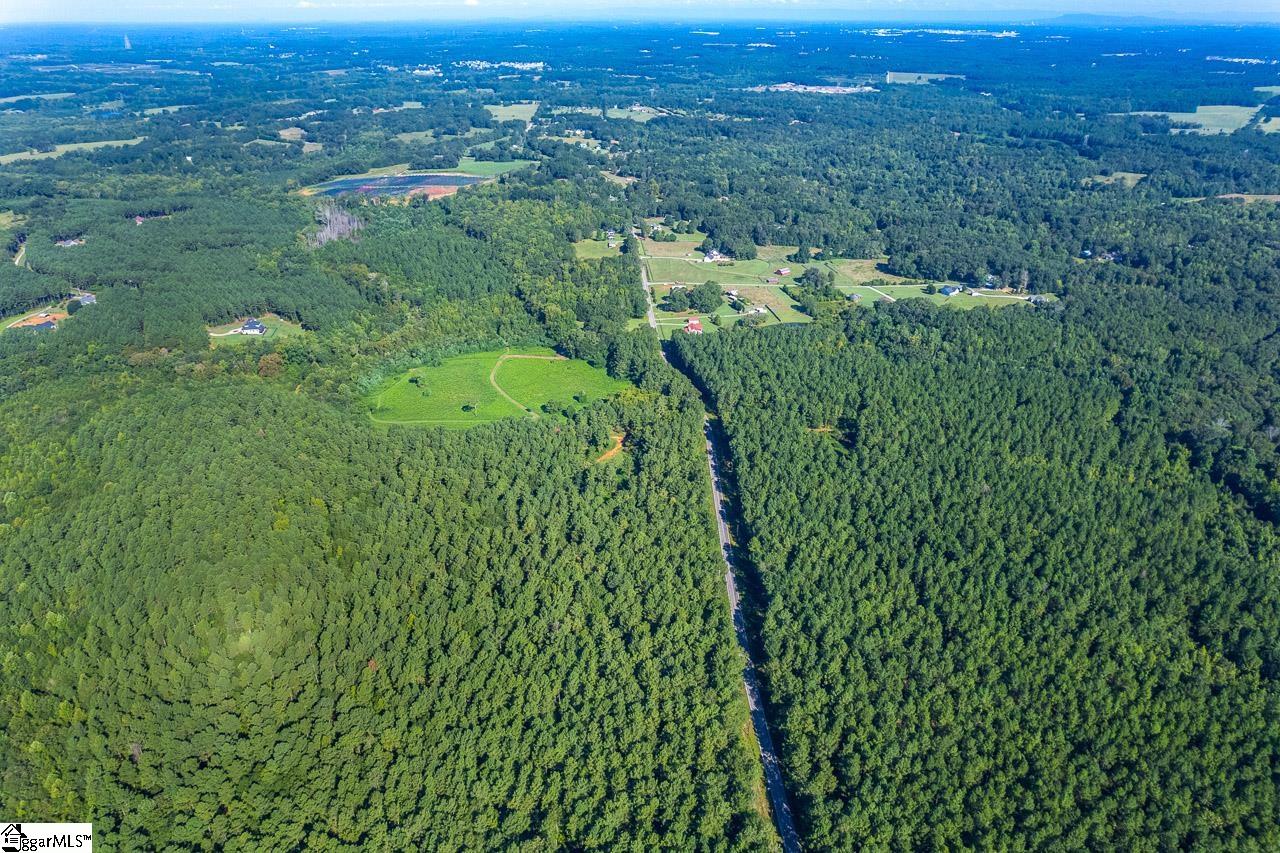 0 Berry Road Pelzer, SC 29669 - Photo 2 of 21