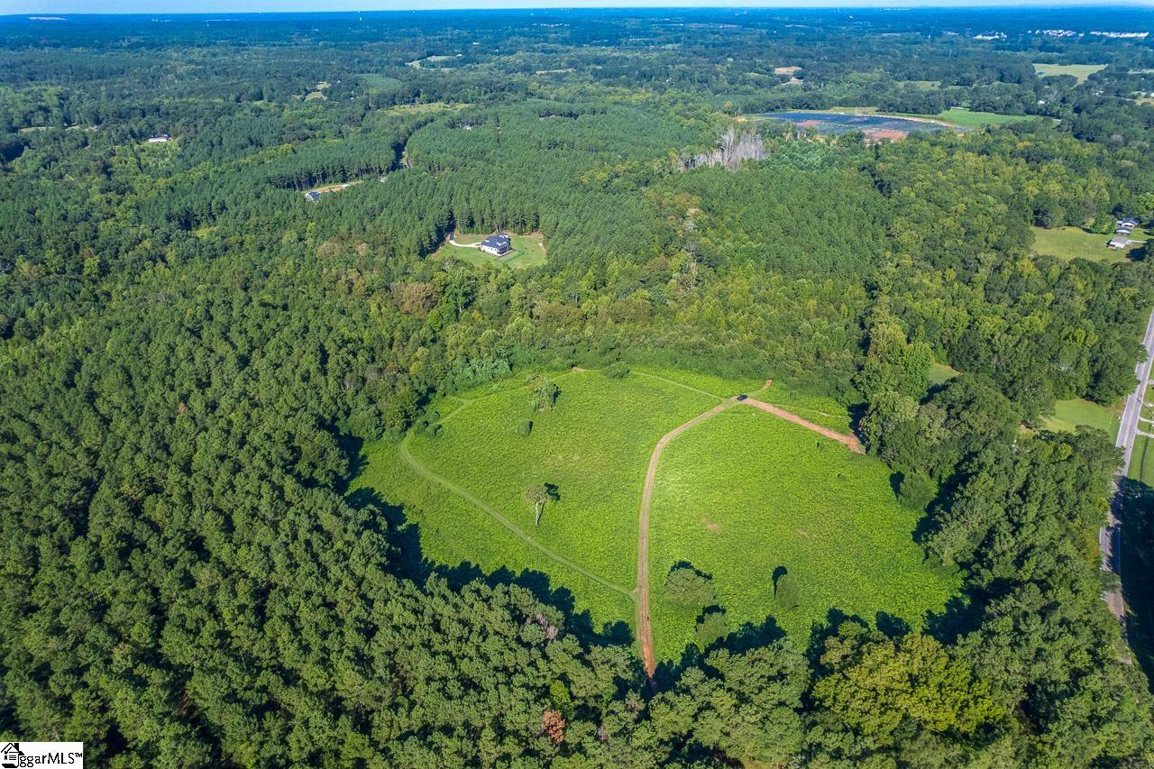 0 Berry Road Pelzer, SC 29669 - Photo 5 of 21