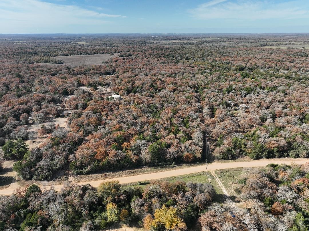 881 Cr 327 Road Rockdale, TX 76567 - Photo 4 of 8 a view of a yard with pathway