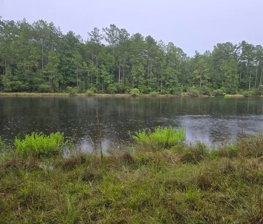 $26,000 | 0 White Poplar Dr Village Mills, Village Mills, TX 77663