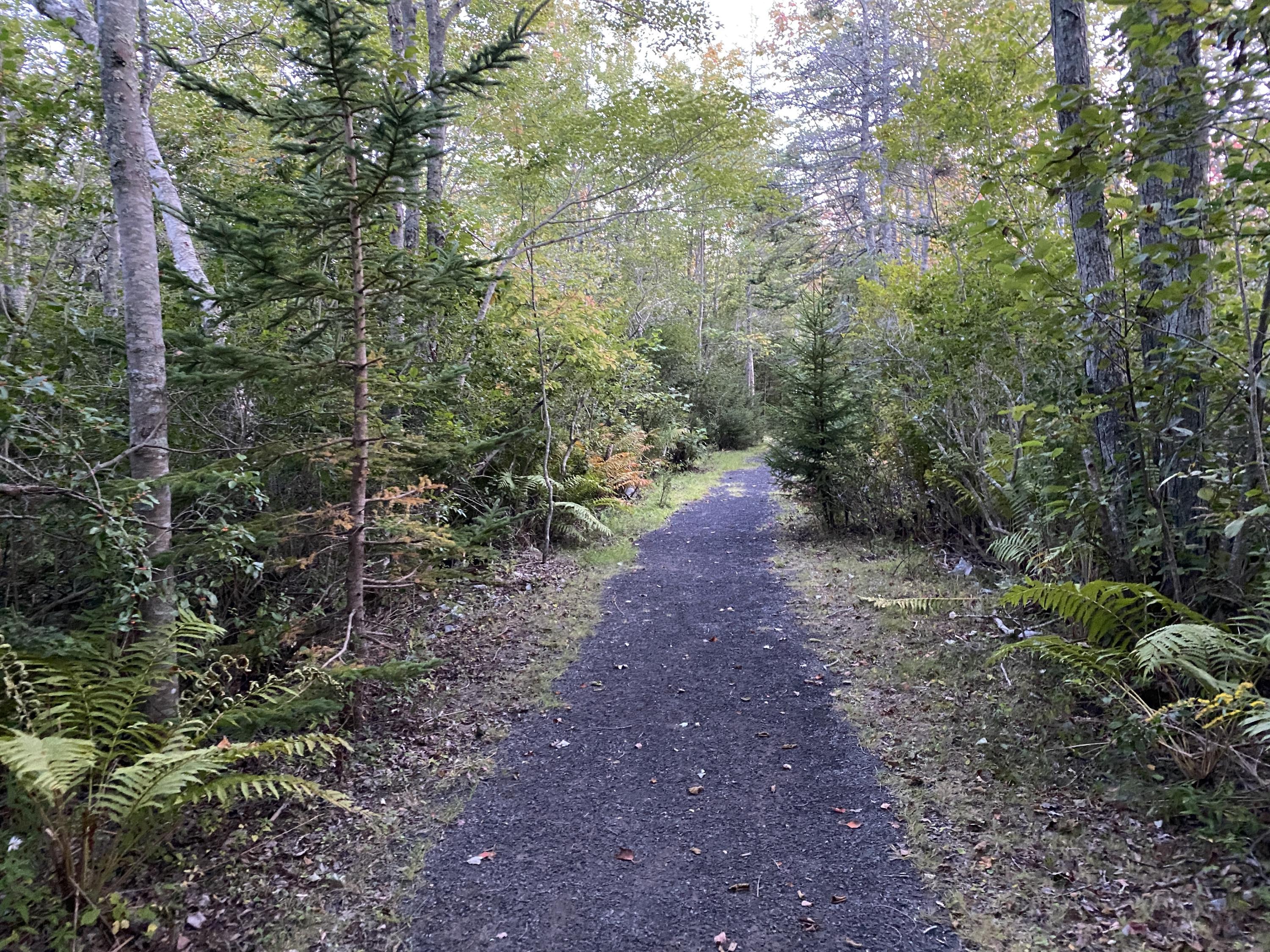 0 Beach Point Road Tenants Harbor, ME 04860 - Photo 36 of 42 Path to Pebble Beach Deeded Right of Way