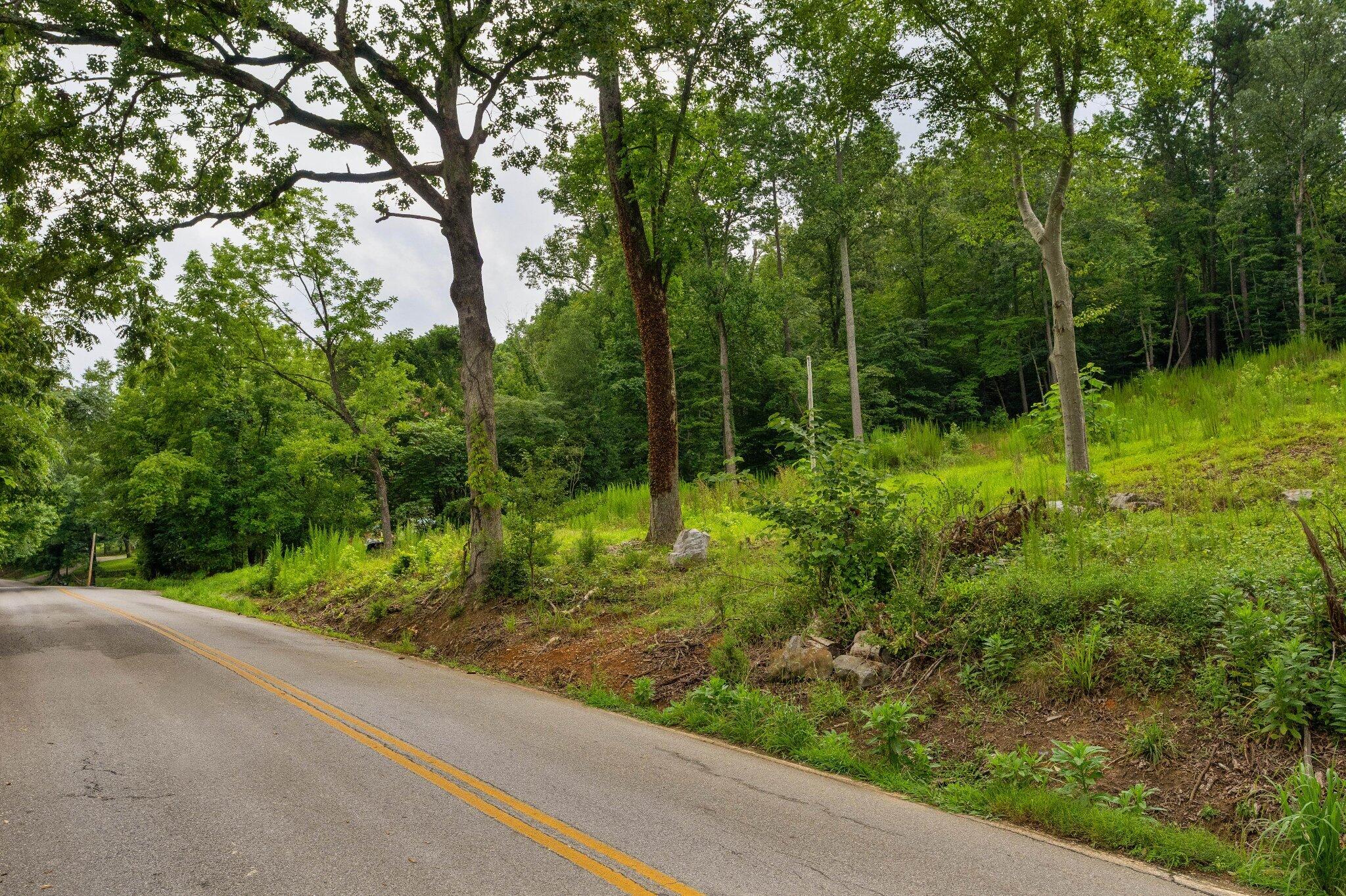 3646 Prospect Church Road Apison, TN 37302 - Photo 23 of 24 22 - 3646 Prospect Church - Ground