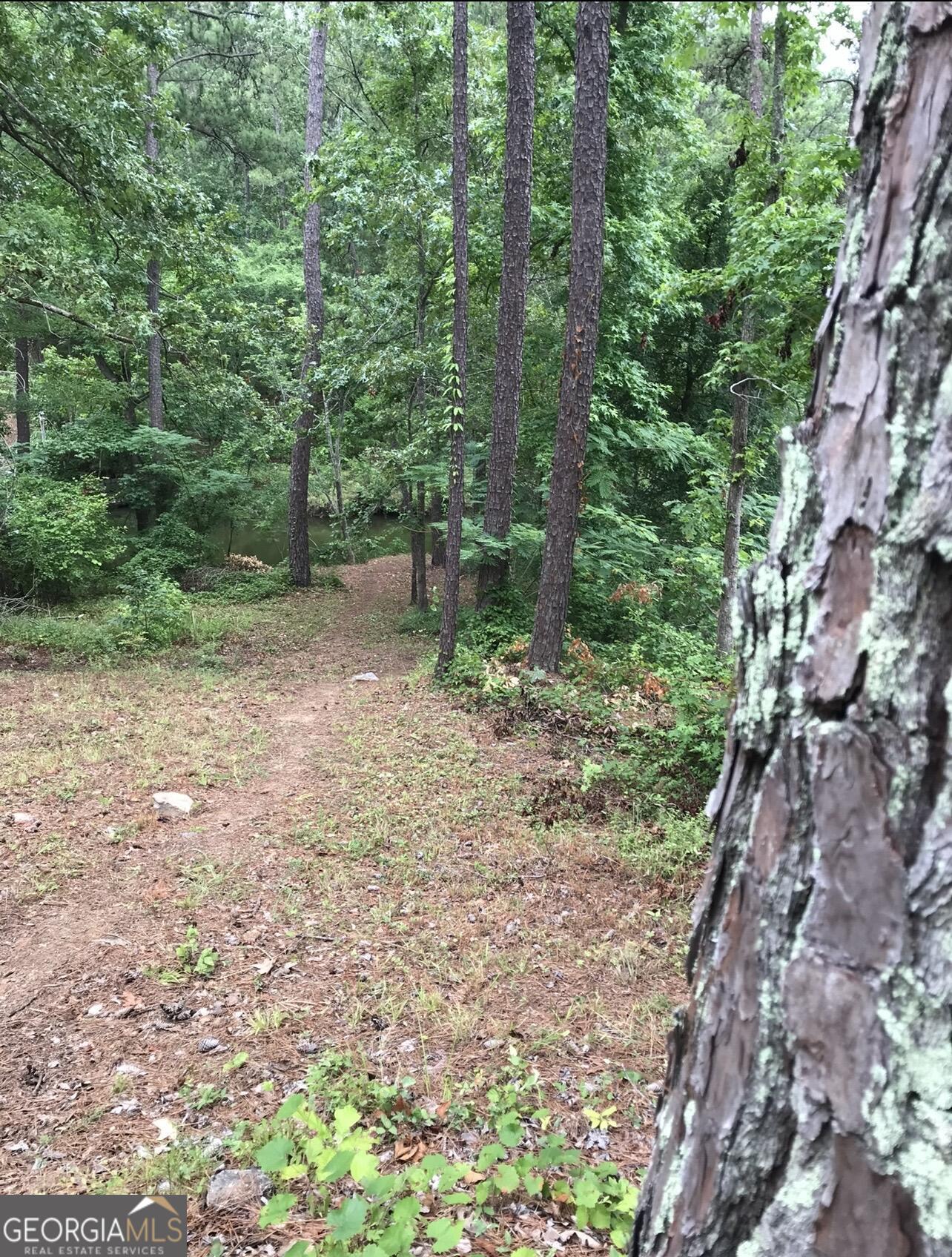 333 Venture Trail Sparta, GA 31087 - Photo 4 of 16 a view of a forest with trees in the background