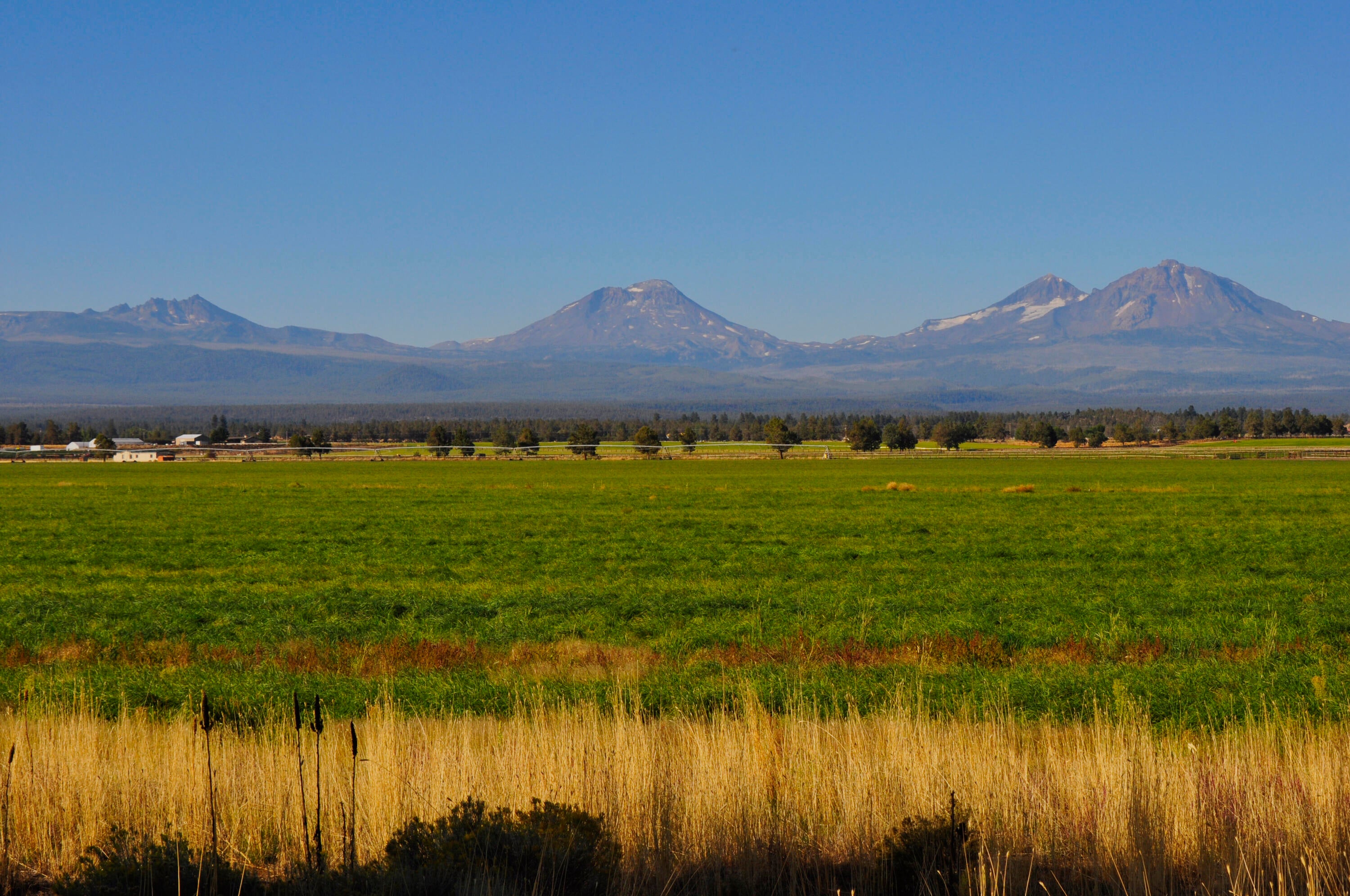 68755 Fryrear Road Sisters, OR 97759 - Photo 2 of 30 _DSC0628_AF