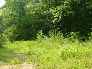 5 Sacker Road Manchester, KY 40962 - Photo 2 of 3 Photo 2