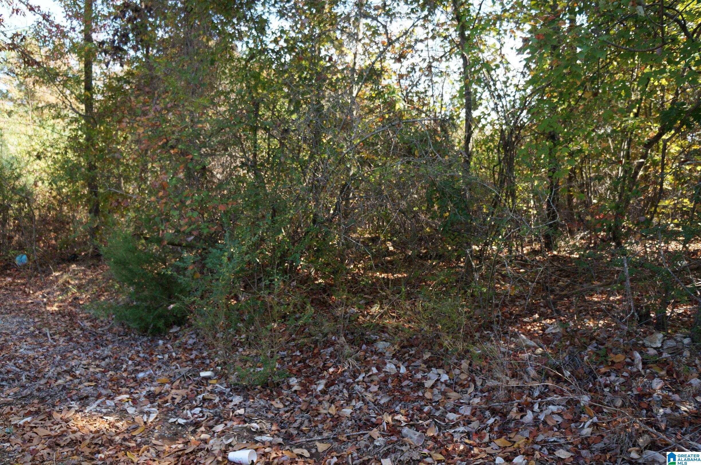 0 Fulton Gap Road Sylacauga, AL 35150 - Photo 3 of 7 Gallery Image 3