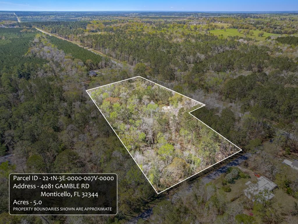 4081 Gamble Road Monticello, FL 32344 - Photo 12 of 41