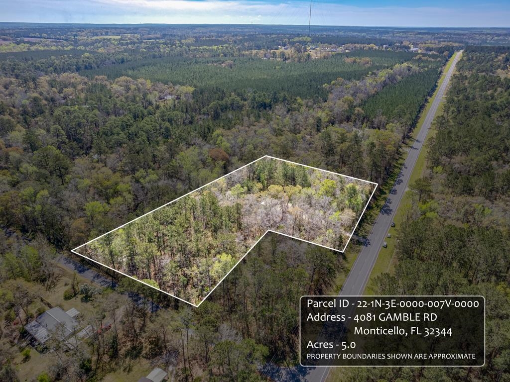 4081 Gamble Road Monticello, FL 32344 - Photo 13 of 41