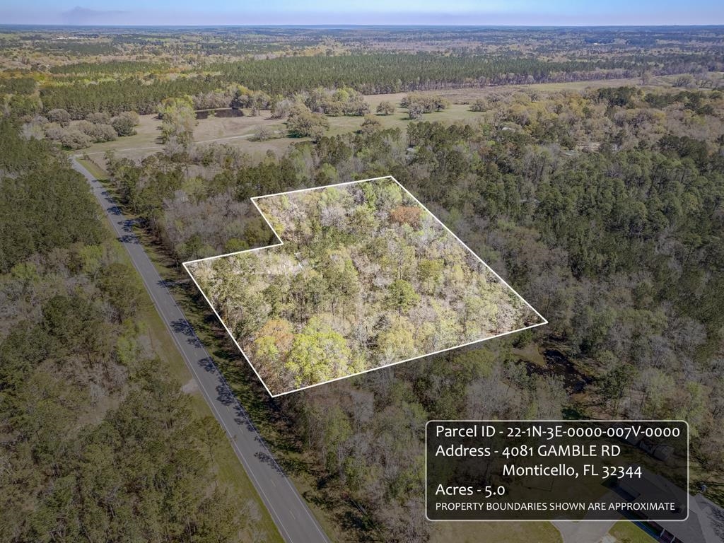 4081 Gamble Road Monticello, FL 32344 - Photo 10 of 41