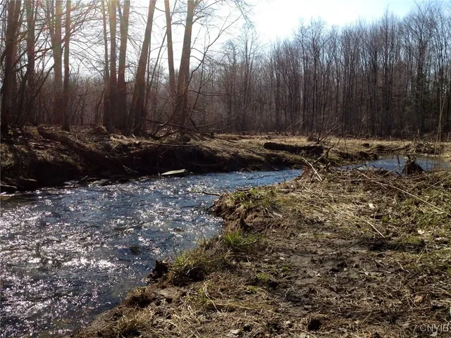 $1,150,000 | 317 Cummings Road, Sandy Creek, NY 13142