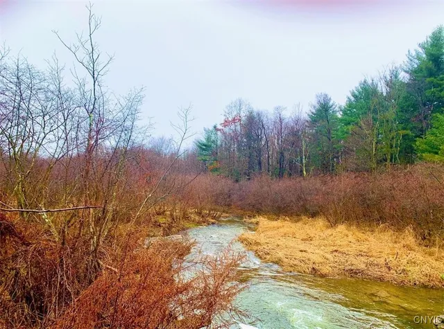 $1,150,000 | 317 Cummings Road, Sandy Creek, NY 13142