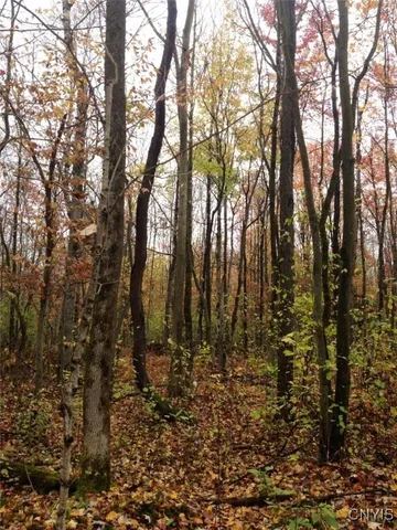 $1,150,000 | 317 Cummings Road, Sandy Creek, NY 13142