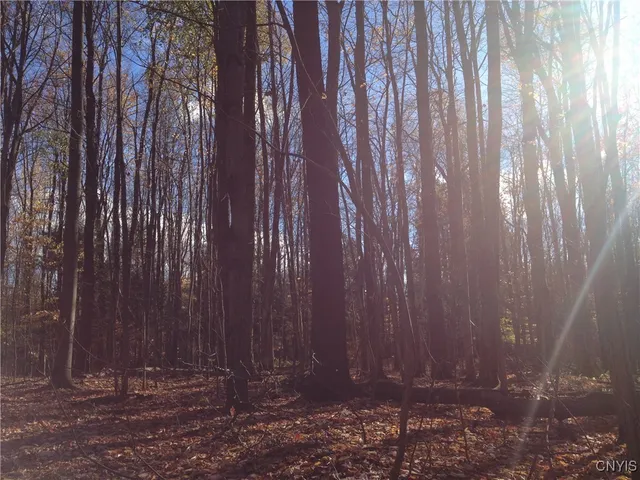 $1,150,000 | 317 Cummings Road, Sandy Creek, NY 13142