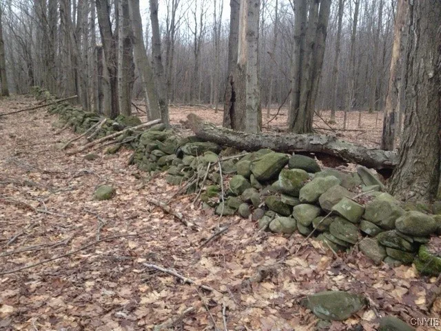 $1,150,000 | 317 Cummings Road, Sandy Creek, NY 13142