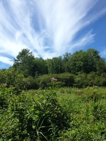 $1,150,000 | 317 Cummings Road, Sandy Creek, NY 13142