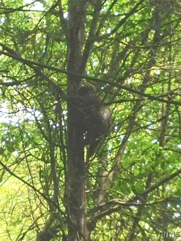 $1,150,000 | 317 Cummings Road, Sandy Creek, NY 13142