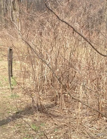 $1,150,000 | 317 Cummings Road, Sandy Creek, NY 13142