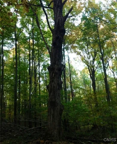 $1,150,000 | 317 Cummings Road, Sandy Creek, NY 13142