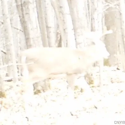 $1,150,000 | 317 Cummings Road, Sandy Creek, NY 13142