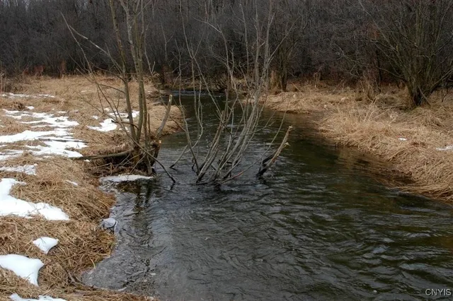 $1,150,000 | 317 Cummings Road, Sandy Creek, NY 13142