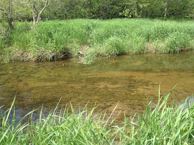 $1,150,000 | 317 Cummings Road, Sandy Creek, NY 13142