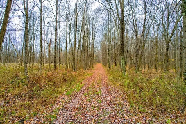 $1,150,000 | 317 Cummings Road, Sandy Creek, NY 13142