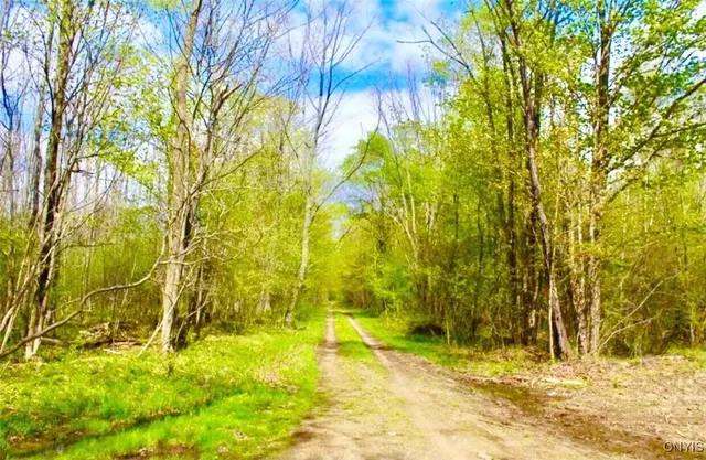 $1,150,000 | 317 Cummings Road, Sandy Creek, NY 13142