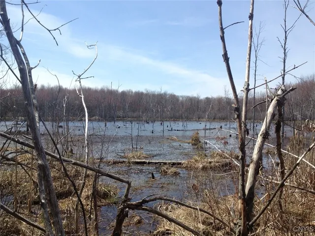 $1,150,000 | 317 Cummings Road, Sandy Creek, NY 13142