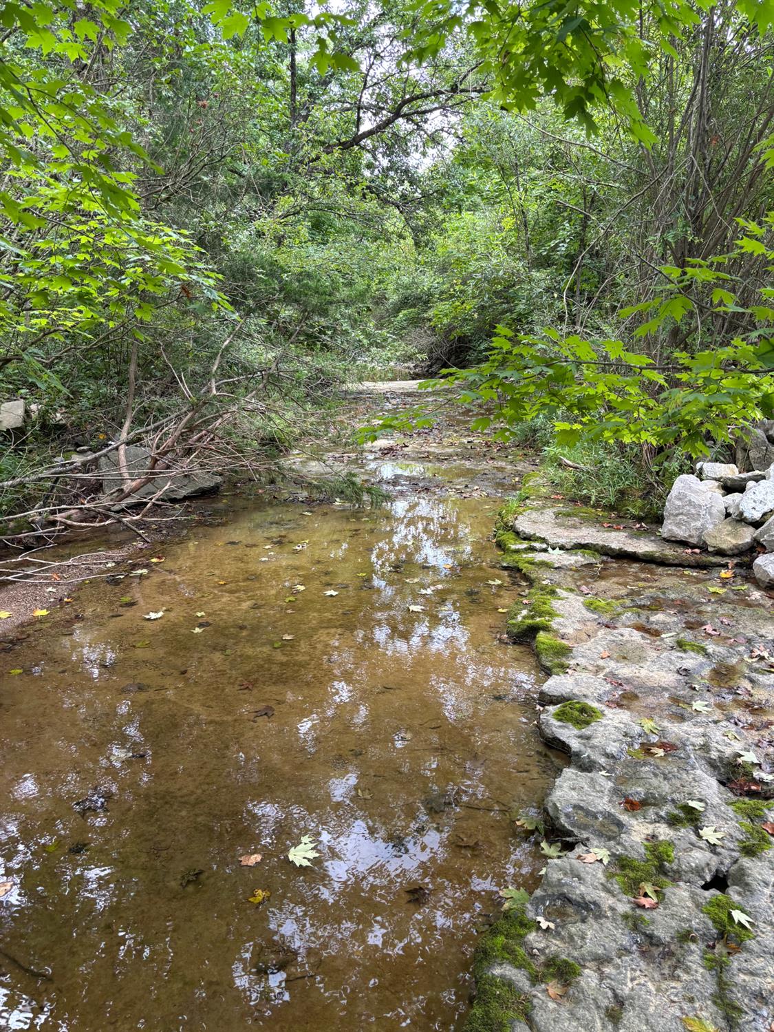 20115 Walnut Fork Road Metamora, IN 47030 - Photo 10 of 12
