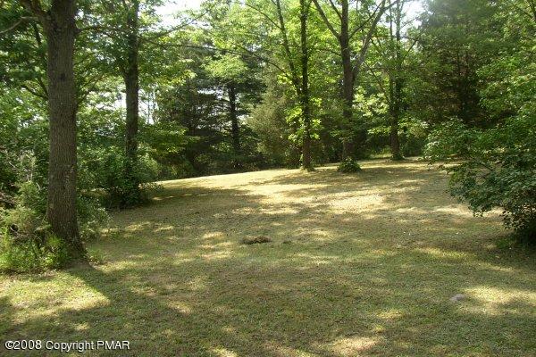 894 Polk Valley Road Stroudsburg, PA 18360 - Photo 7 of 7 Backyard