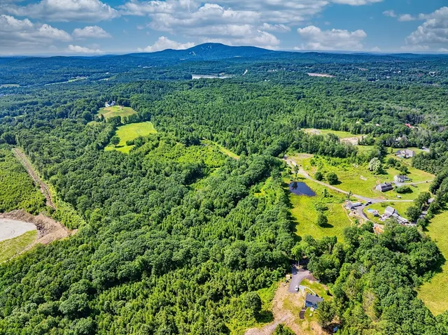 a view of a lush green field with lots of bushes