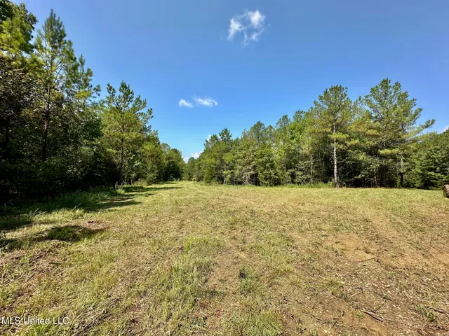 $465,000 | 2 Forest Service Road 562, Pulaski, MS 39152