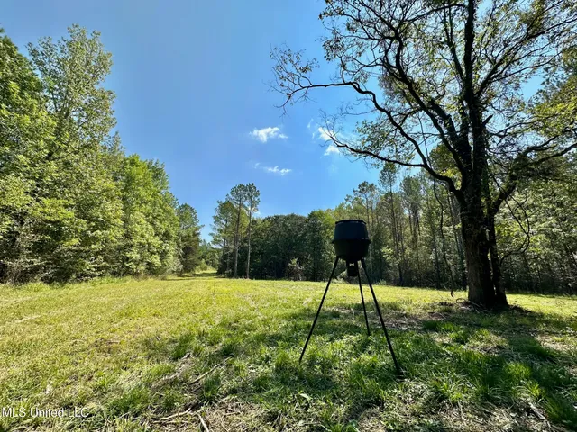 $465,000 | 2 Forest Service Road 562, Pulaski, MS 39152